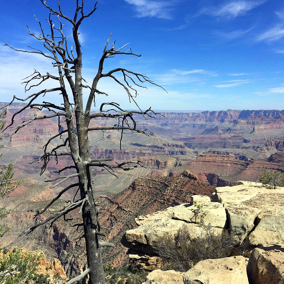 Grand Canyon