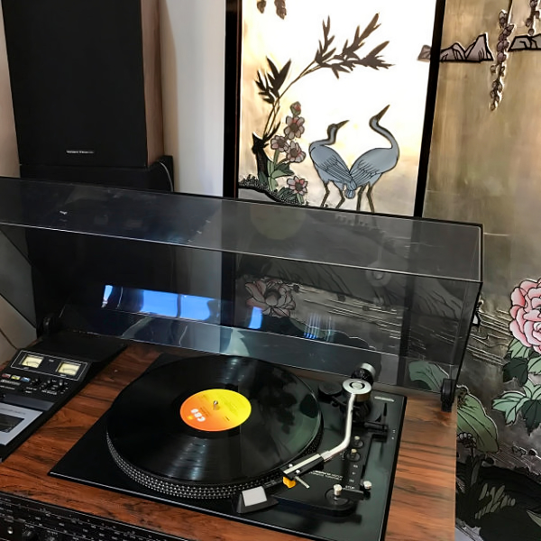 Play vinyl